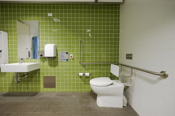 Disability-friendly bathroom